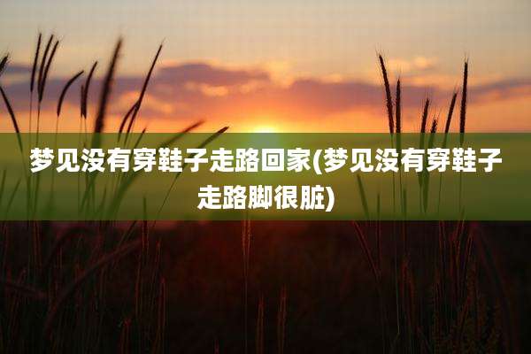 梦见没有穿鞋子走路回家(梦见没有穿鞋子走路脚很脏)