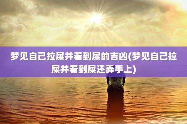 梦见自己拉屎并看到屎的吉凶(梦见自己拉屎并看到屎还弄手上)