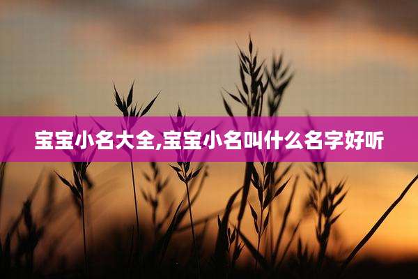 宝宝小名大全,宝宝小名叫什么名字好听