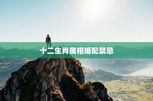 十二生肖属相婚配禁忌