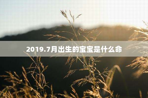 2019.7月出生的宝宝是什么命