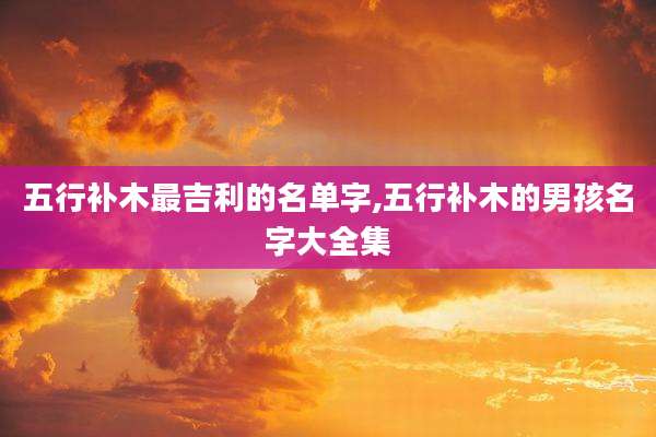 五行补木最吉利的名单字,五行补木的男孩名字大全集
