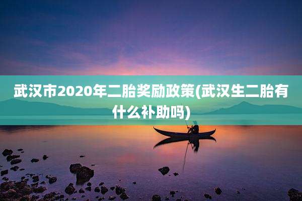 武汉市2020年二胎奖励政策(武汉生二胎有什么补助吗)