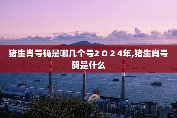 猪生肖号码是哪几个号2 O 2 4年,猪生肖号码是什么