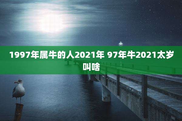 1997年属牛的人2021年 97年牛2021太岁叫啥