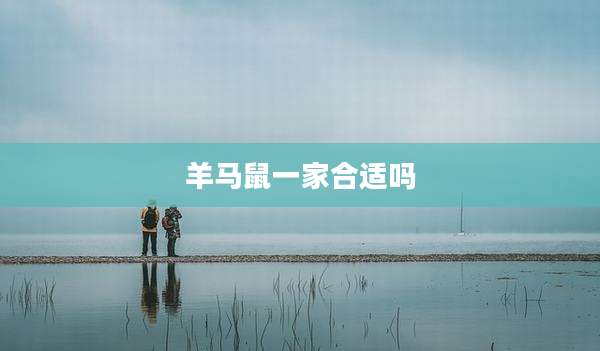 羊马鼠一家合适吗