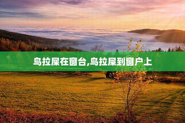 鸟拉屎在窗台,鸟拉屎到窗户上