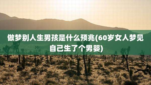 做梦别人生男孩是什么预兆(60岁女人梦见自己生了个男婴)