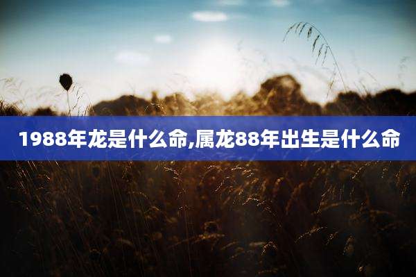 1988年龙是什么命,属龙88年出生是什么命