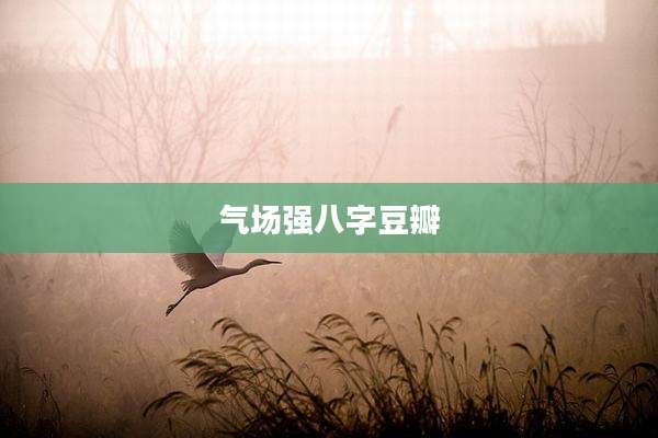 气场强八字豆瓣
