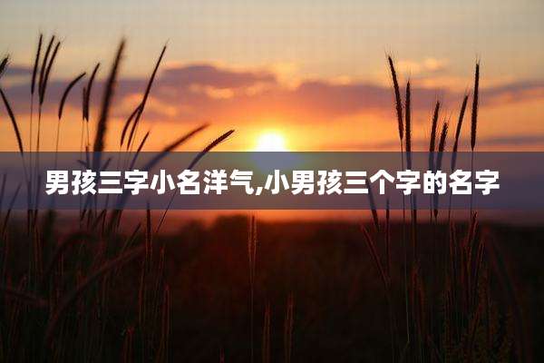 男孩三字小名洋气,小男孩三个字的名字
