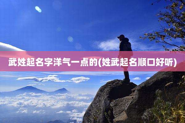 武姓起名字洋气一点的(姓武起名顺口好听)