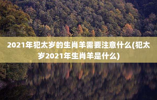 2021年犯太岁的生肖羊需要注意什么(犯太岁2021年生肖羊是什么)