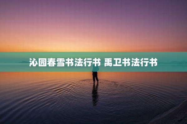 沁园春雪书法行书 禹卫书法行书