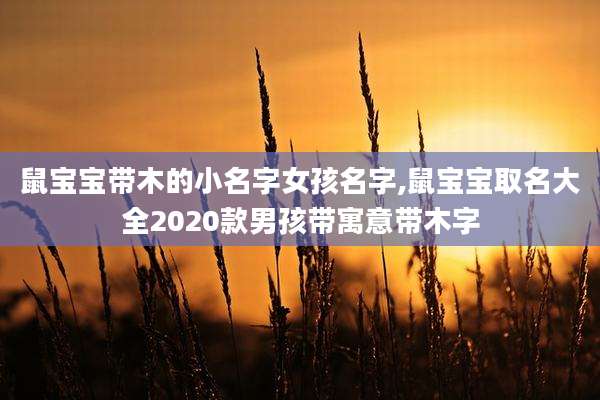 鼠宝宝带木的小名字女孩名字,鼠宝宝取名大全2020款男孩带寓意带木字