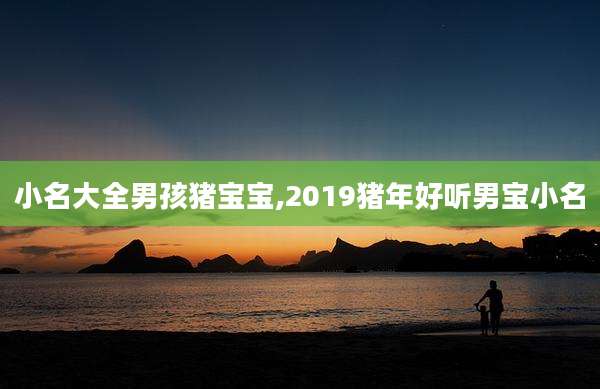 小名大全男孩猪宝宝,2019猪年好听男宝小名