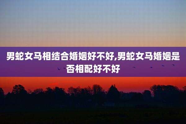 男蛇女马相结合婚姻好不好,男蛇女马婚姻是否相配好不好