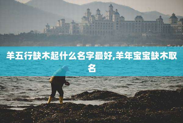 羊五行缺木起什么名字最好,羊年宝宝缺木取名