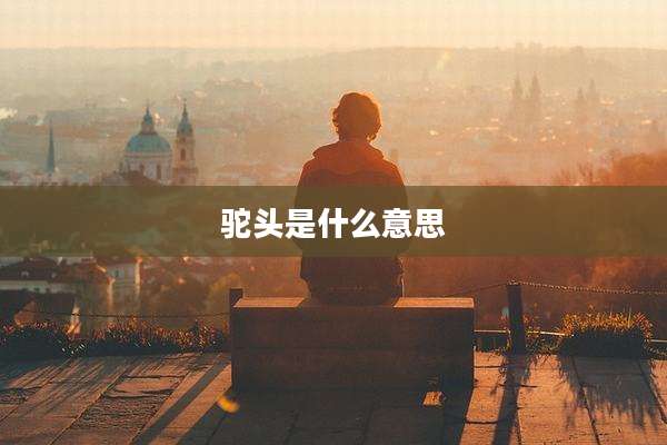 驼头是什么意思