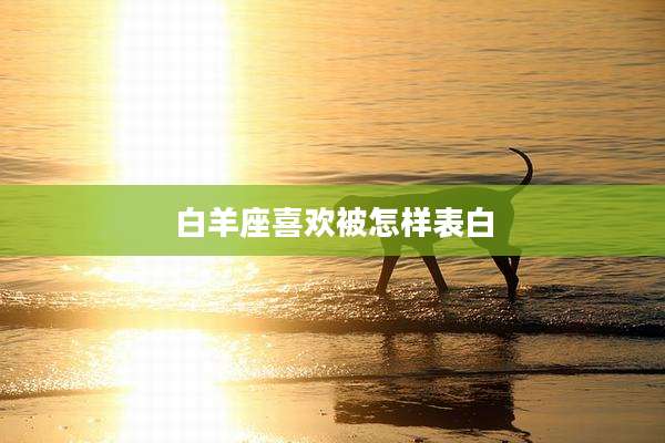 白羊座喜欢被怎样表白