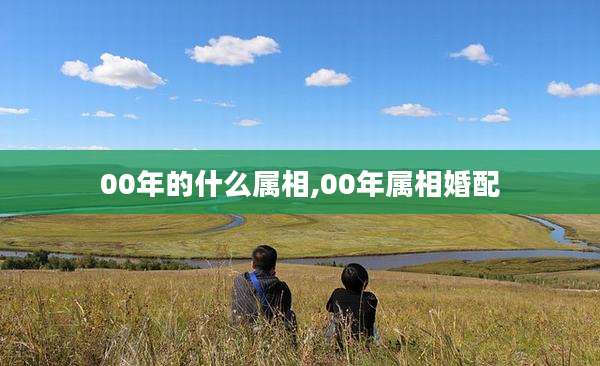 00年的什么属相,00年属相婚配