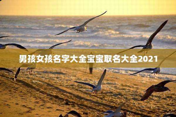 男孩女孩名字大全宝宝取名大全2021