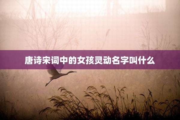 唐诗宋词中的女孩灵动名字叫什么
