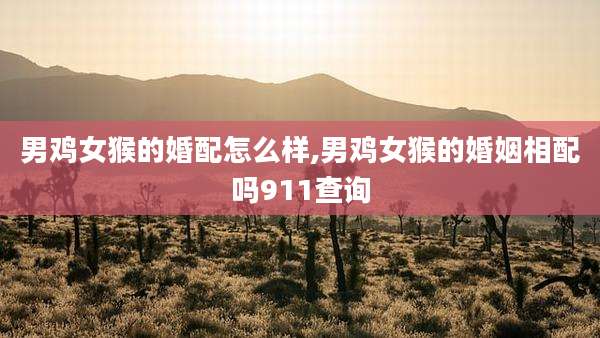 男鸡女猴的婚配怎么样,男鸡女猴的婚姻相配吗911查询