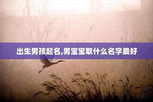 出生男孩起名,男宝宝取什么名字最好