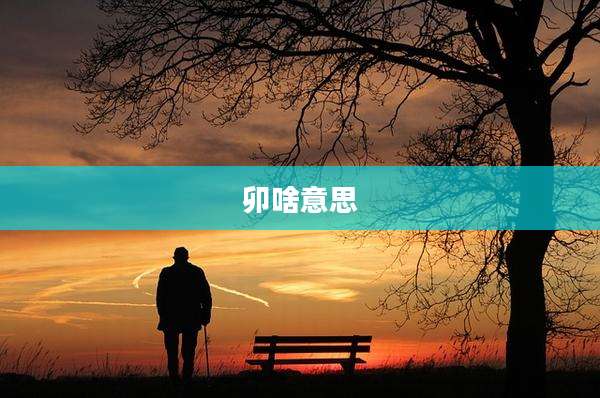 卯啥意思