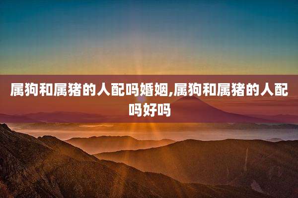 属狗和属猪的人配吗婚姻,属狗和属猪的人配吗好吗