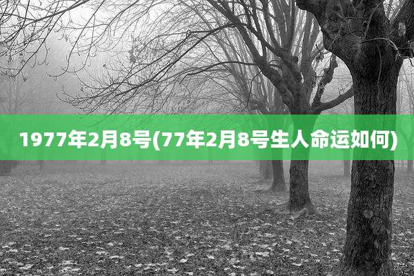 1977年2月8号(77年2月8号生人命运如何)