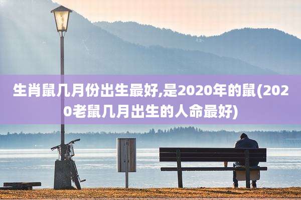 生肖鼠几月份出生最好,是2020年的鼠(2020老鼠几月出生的人命最好)