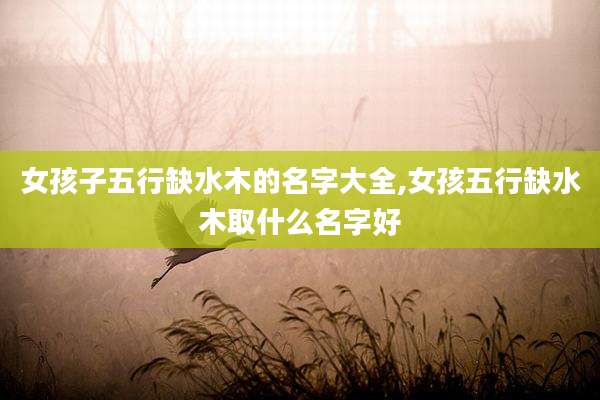 女孩子五行缺水木的名字大全,女孩五行缺水木取什么名字好