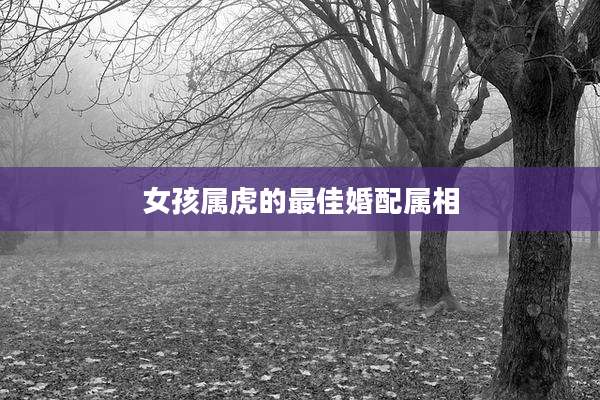 女孩属虎的最佳婚配属相