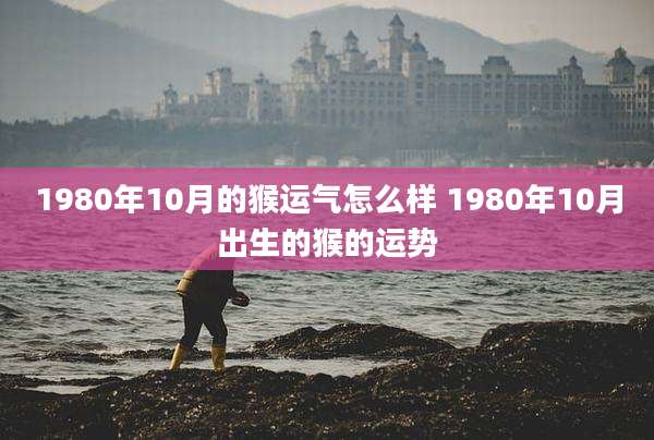 1980年10月的猴运气怎么样 1980年10月出生的猴的运势