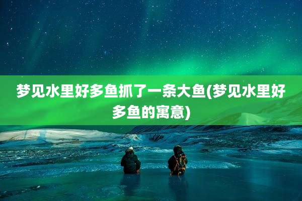 梦见水里好多鱼抓了一条大鱼(梦见水里好多鱼的寓意)