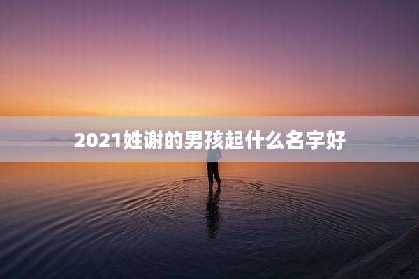 2021姓谢的男孩起什么名字好