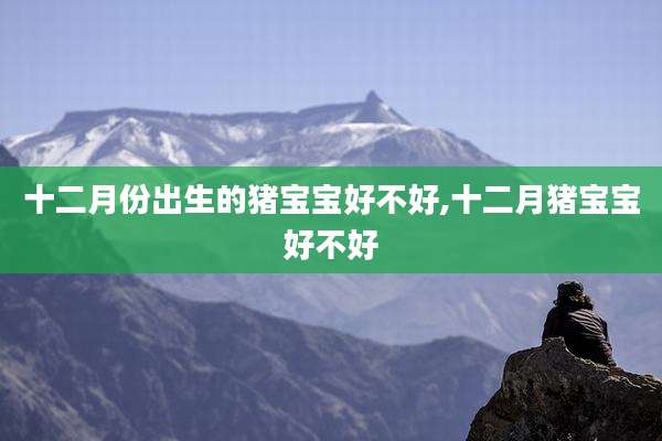 十二月份出生的猪宝宝好不好,十二月猪宝宝好不好
