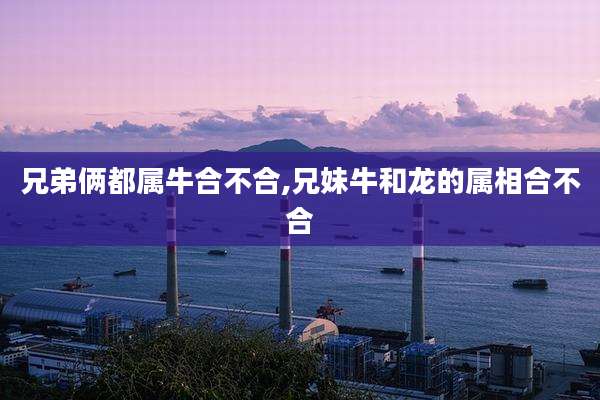 兄弟俩都属牛合不合,兄妹牛和龙的属相合不合