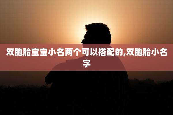 双胞胎宝宝小名两个可以搭配的,双胞胎小名字