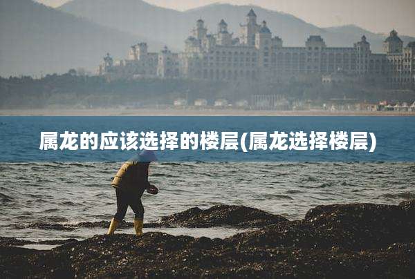 属龙的应该选择的楼层(属龙选择楼层)