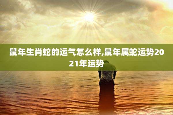 鼠年生肖蛇的运气怎么样,鼠年属蛇运势2021年运势