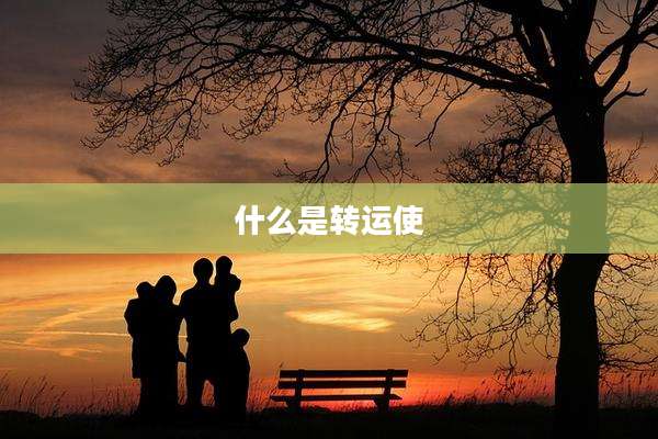 什么是转运使