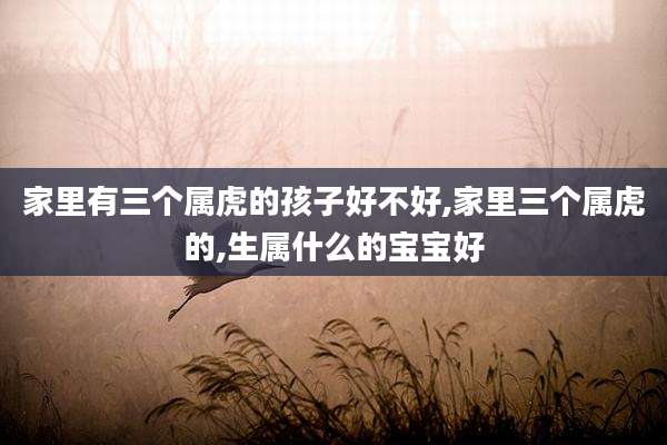 家里有三个属虎的孩子好不好,家里三个属虎的,生属什么的宝宝好