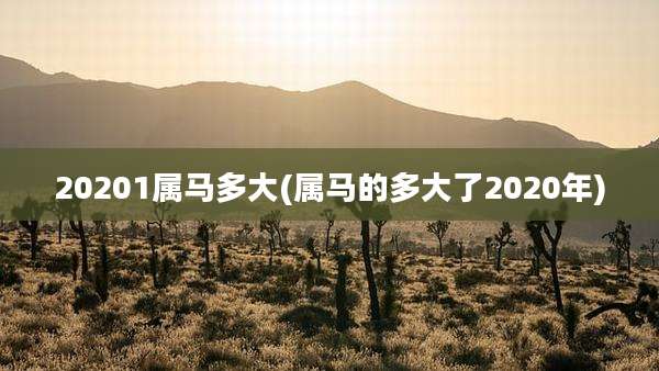 20201属马多大(属马的多大了2020年)