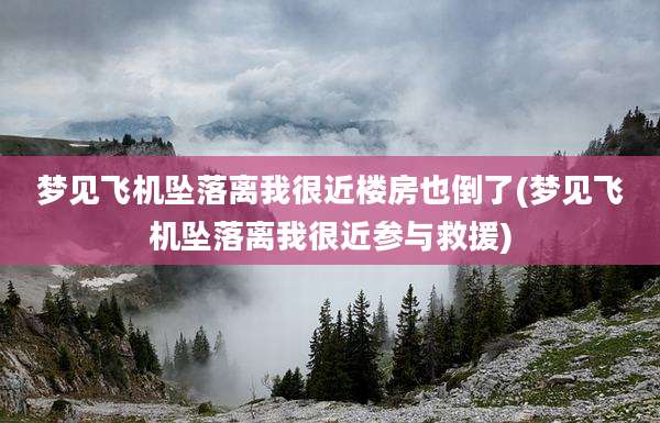 梦见飞机坠落离我很近楼房也倒了(梦见飞机坠落离我很近参与救援)