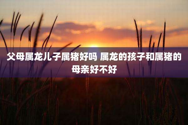 父母属龙儿子属猪好吗 属龙的孩子和属猪的母亲好不好