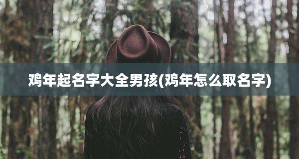 鸡年起名字大全男孩(鸡年怎么取名字)
