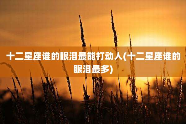 十二星座谁的眼泪最能打动人(十二星座谁的眼泪最多)